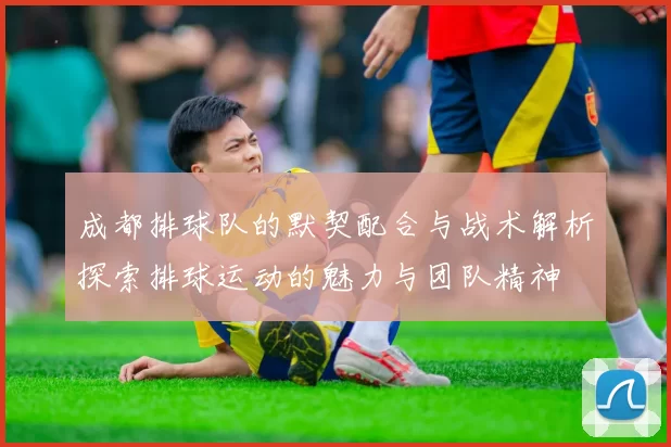 成都排球队的默契配合与战术解析探索排球运动的魅力与团队精神