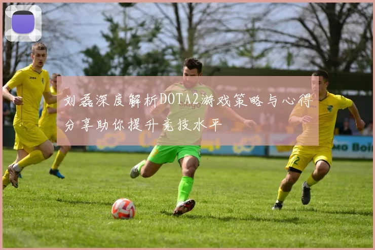 刘磊深度解析DOTA2游戏策略与心得分享助你提升竞技水平